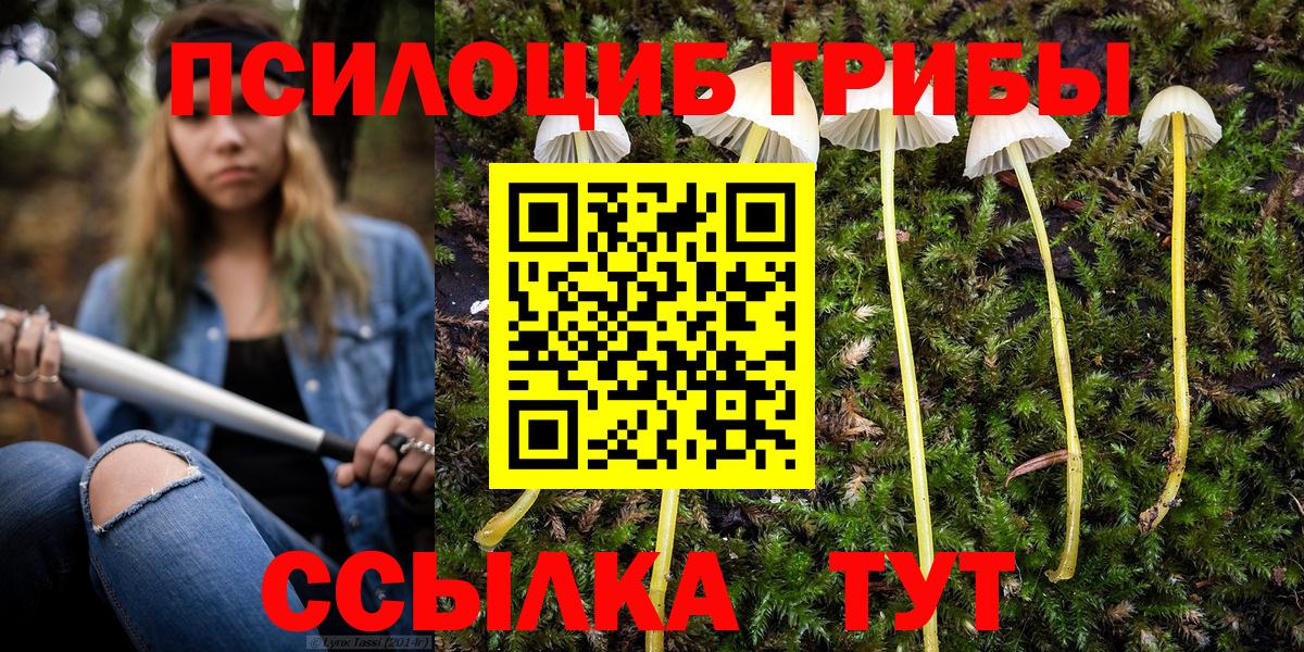 Галлюциногенные грибы ЛСД Усть-Джегута
