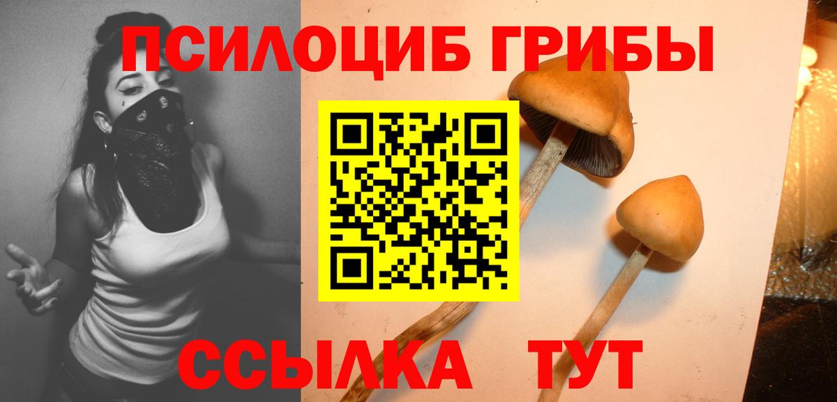 Усть-Джегута  Галлюциногенные грибы MAGIC MUSHROOMS  Галлюциногенные грибы мицелий  Вход с VPN 